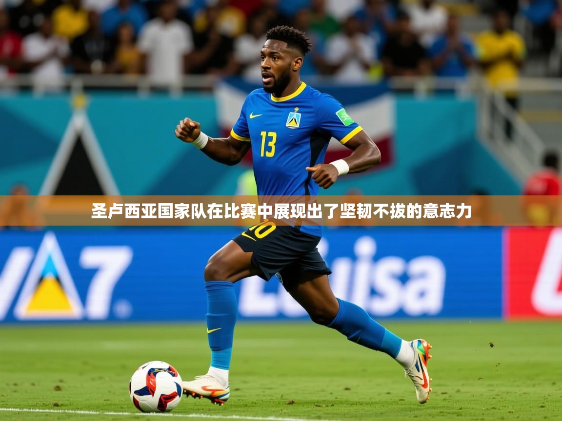 2025 ag娱乐是什么圣卢西亚国家队在比赛中展现出了坚韧不拔的意志力  第4张