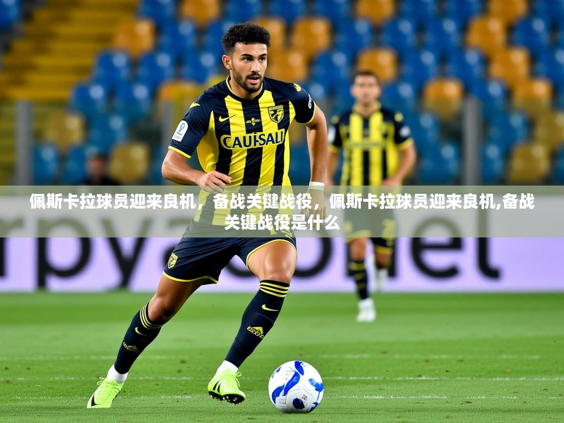 2025 ag娱乐森林舞会佩斯卡拉球员迎来良机，备战关键战役，佩斯卡拉球员迎来良机,备战关键战役是什么  第1张