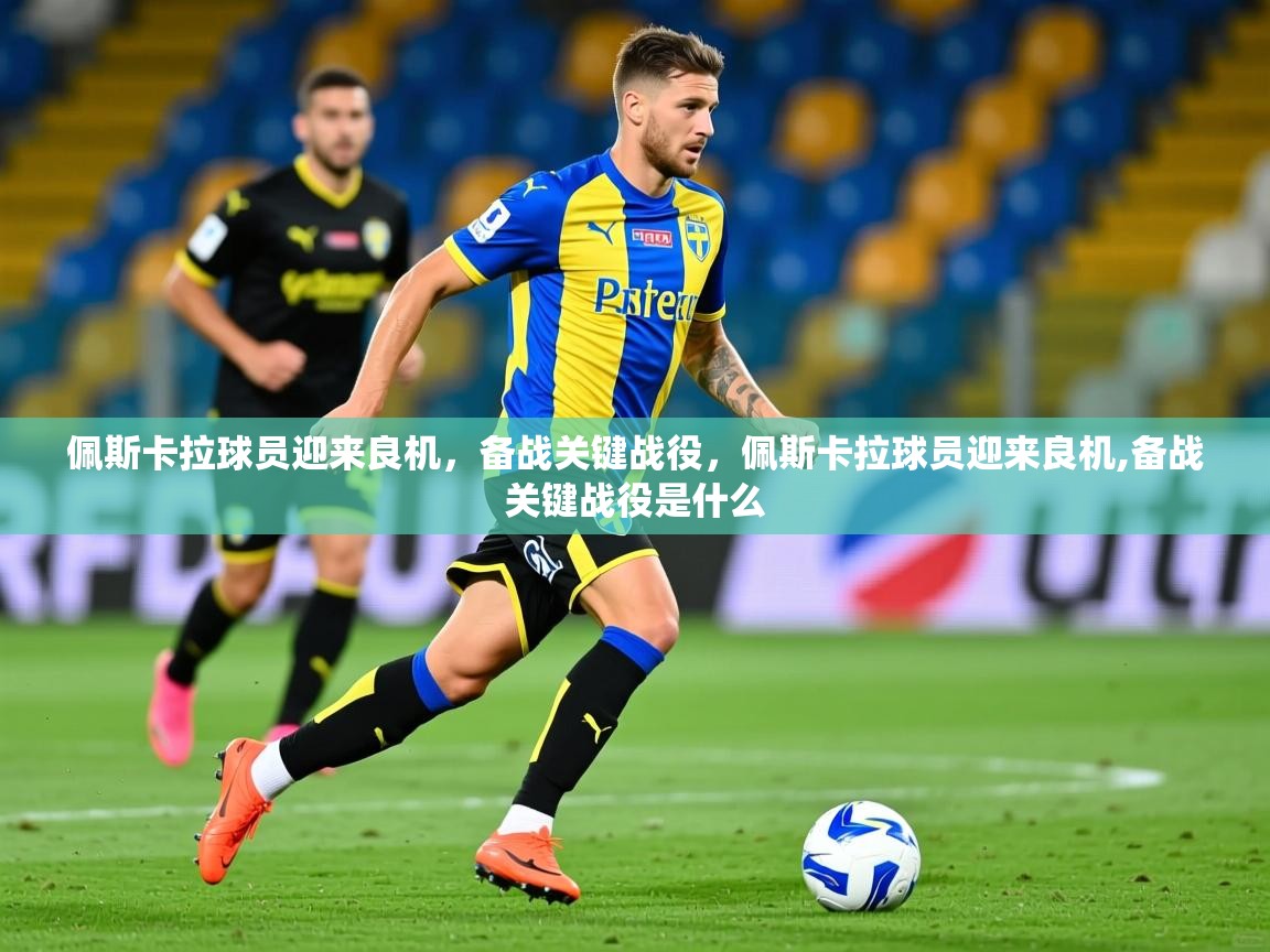 2025 ag娱乐森林舞会佩斯卡拉球员迎来良机，备战关键战役，佩斯卡拉球员迎来良机,备战关键战役是什么  第3张