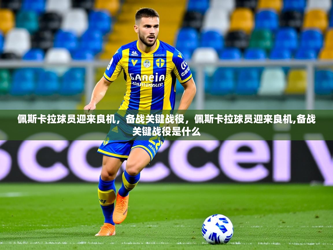 2025 ag娱乐森林舞会佩斯卡拉球员迎来良机，备战关键战役，佩斯卡拉球员迎来良机,备战关键战役是什么  第2张