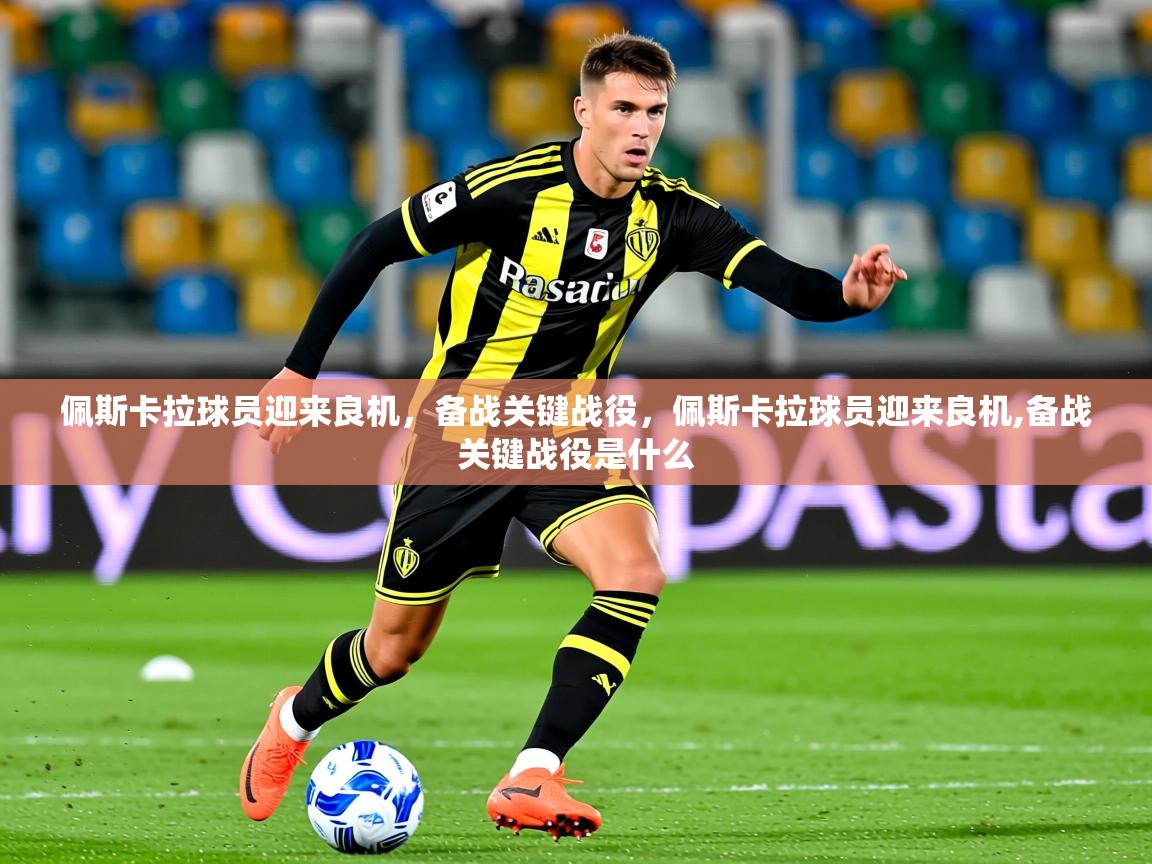 2025 ag娱乐森林舞会佩斯卡拉球员迎来良机，备战关键战役，佩斯卡拉球员迎来良机,备战关键战役是什么  第4张