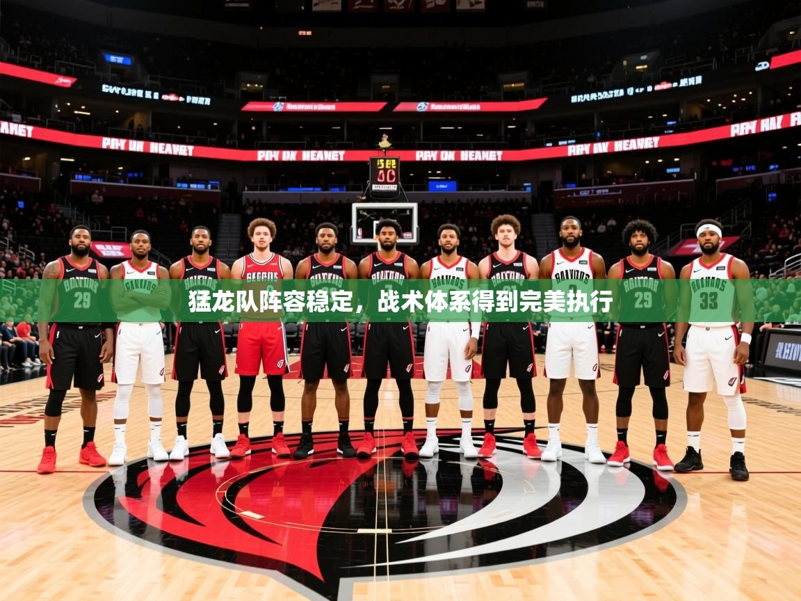 2025 ag娱乐老板是谁猛龙队阵容稳定，战术体系得到完美执行  第3张
