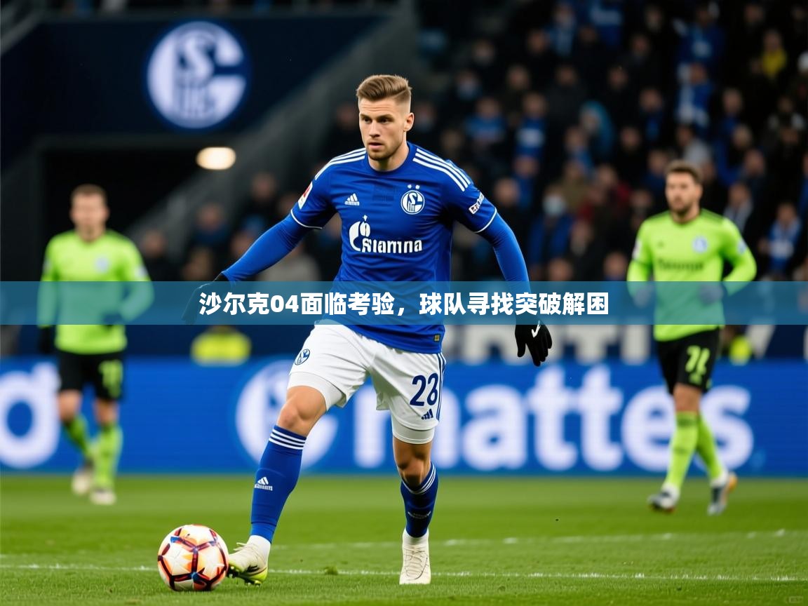 2025 ag娱乐真实爆料沙尔克04面临考验，球队寻找突破解困  第3张